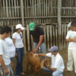 OgAAAMRPWKfksZ1hs_IYfkroXLymwInu1ljM_rhEOfq70Bx4Ezf4woJnlsF2FxUEPcE00HOpemkkKdG9wjunW3FOjakAm1T1ULGOtLtE9lGo3rvWWxIzTMzhvPRW